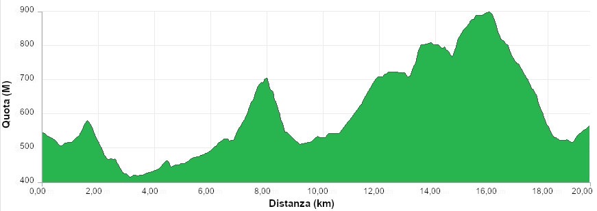 Altimetria